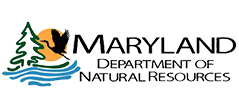 Maryland DNR
